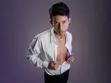 LeisanFox toy shows aufgezeichnet
